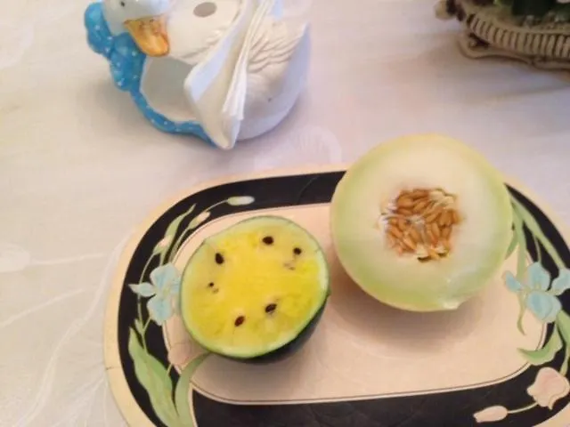Goldenview Guesthouse أوشو ريوس 0*,  جامايكا