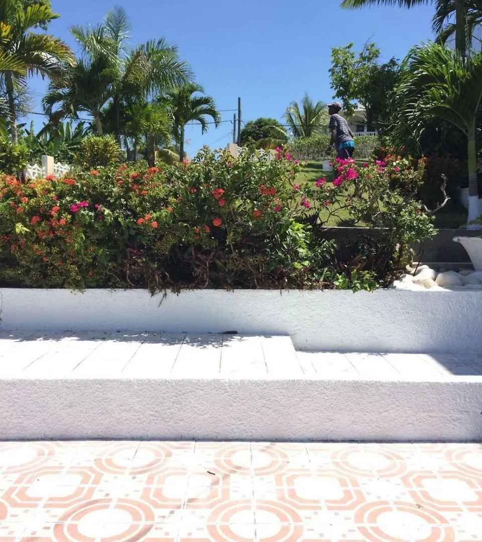 Goldenview Guesthouse Ocho Rios 0*,